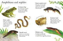 Usborne Minis: Pond Life to Spot