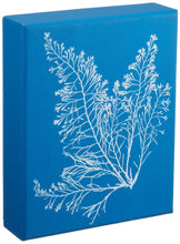 Sunprint Notecards