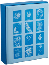 Sunprint Notecards