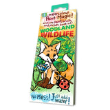 Paint Magic-Woodland Wildlife