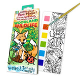 Paint Magic-Woodland Wildlife