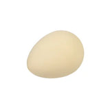 Super Hatching Dinosaur Egg