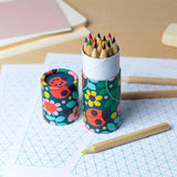 Ladybird Colouring Pencils