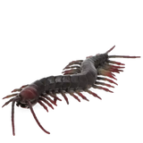 Realistic Centipede Toy