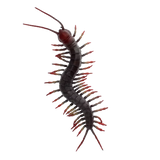 Realistic Centipede Toy