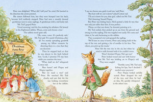 Peter Rabbit: Christmas is Coming by Beatrix Potter