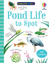 Usborne Minis: Pond Life to Spot