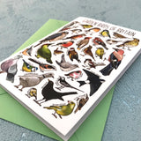 Garden Birds of Britain Greeting Card by Alexia Claire