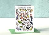 Garden Birds of Britain Greeting Card by Alexia Claire