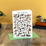 Ducks of Britain Wildlife Greeting Card by Alexia Claire