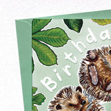 Birthday Hedgehugs - hedgehog birthday card by Alexia Claire