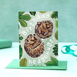 Birthday Hedgehugs - hedgehog birthday card by Alexia Claire