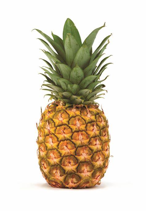 Pineapple Magnet