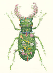 Stag Beetle Greetings Card