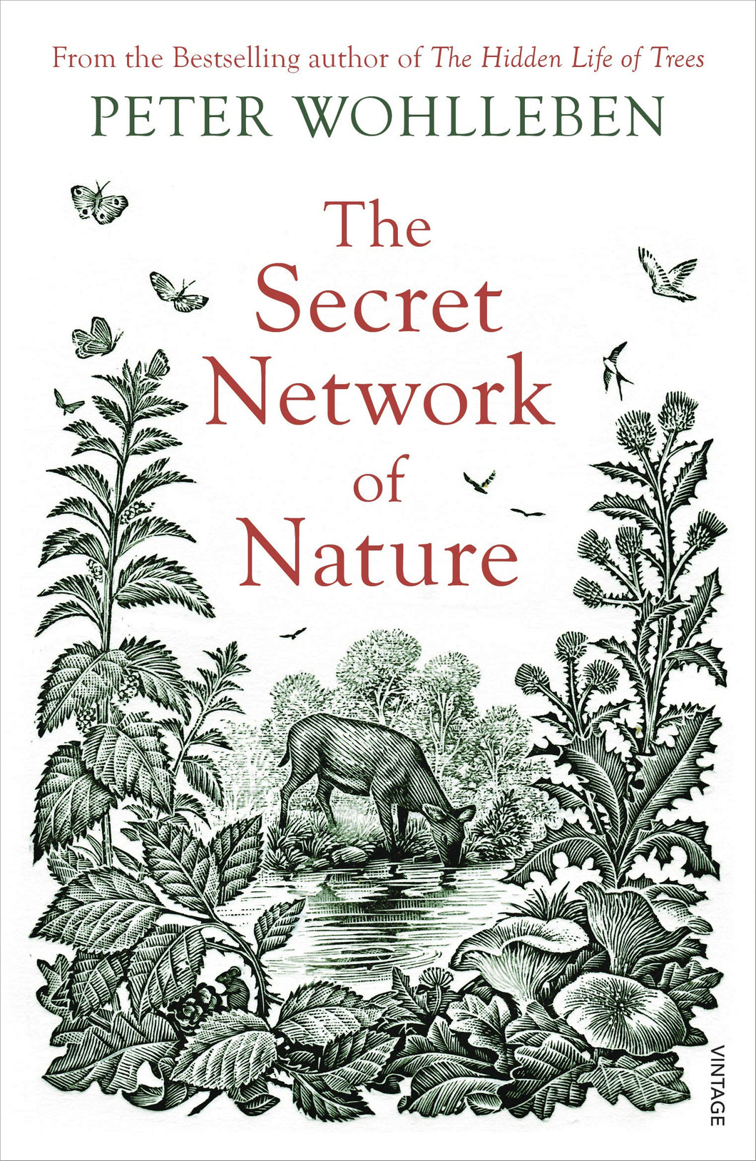 Book - The Secret Network of Nature