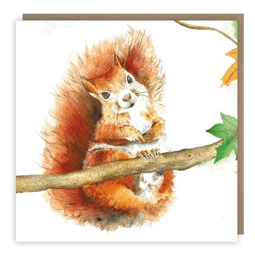 Mrs Coppertail (Squirrel) Greetings Card